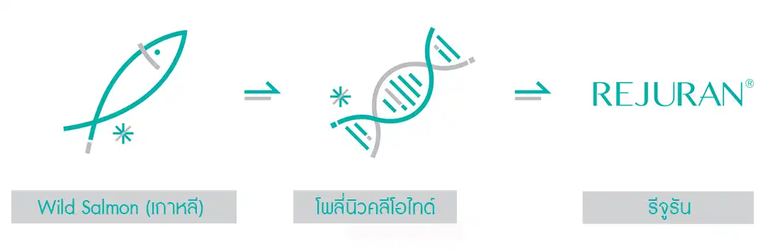 โพลี่นิวคลีโอไทด์บริสุทธิ์ DNA fragment จากปลาแซลมอน Rejuran