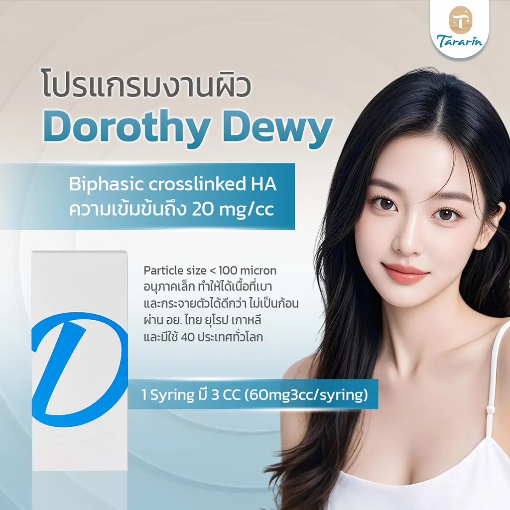 จุดเด่นของโปรแกรม Dorothy Dewy