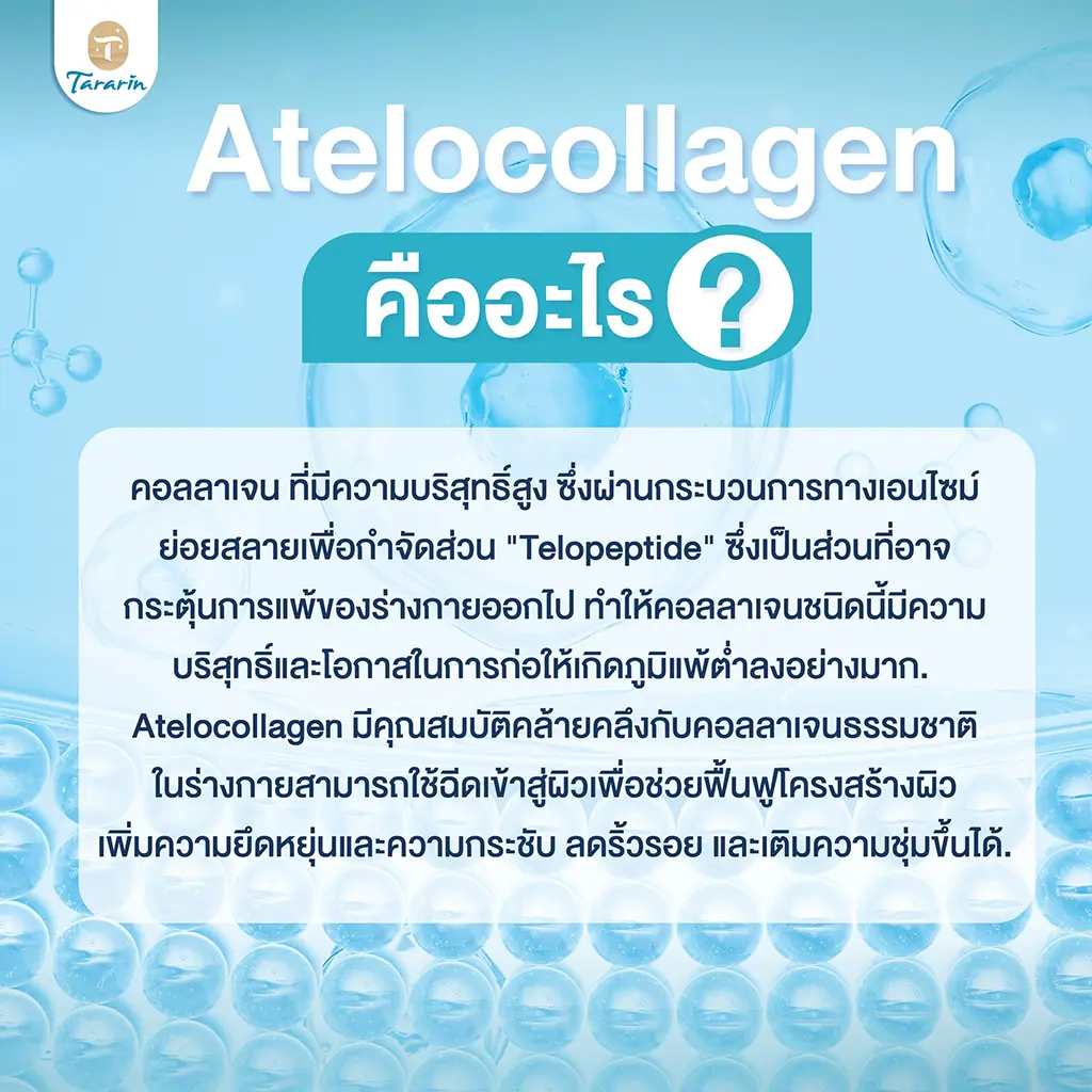 Therafill คอลลาเจนบริสุทธิ์ Pure Atelocollagen Type I