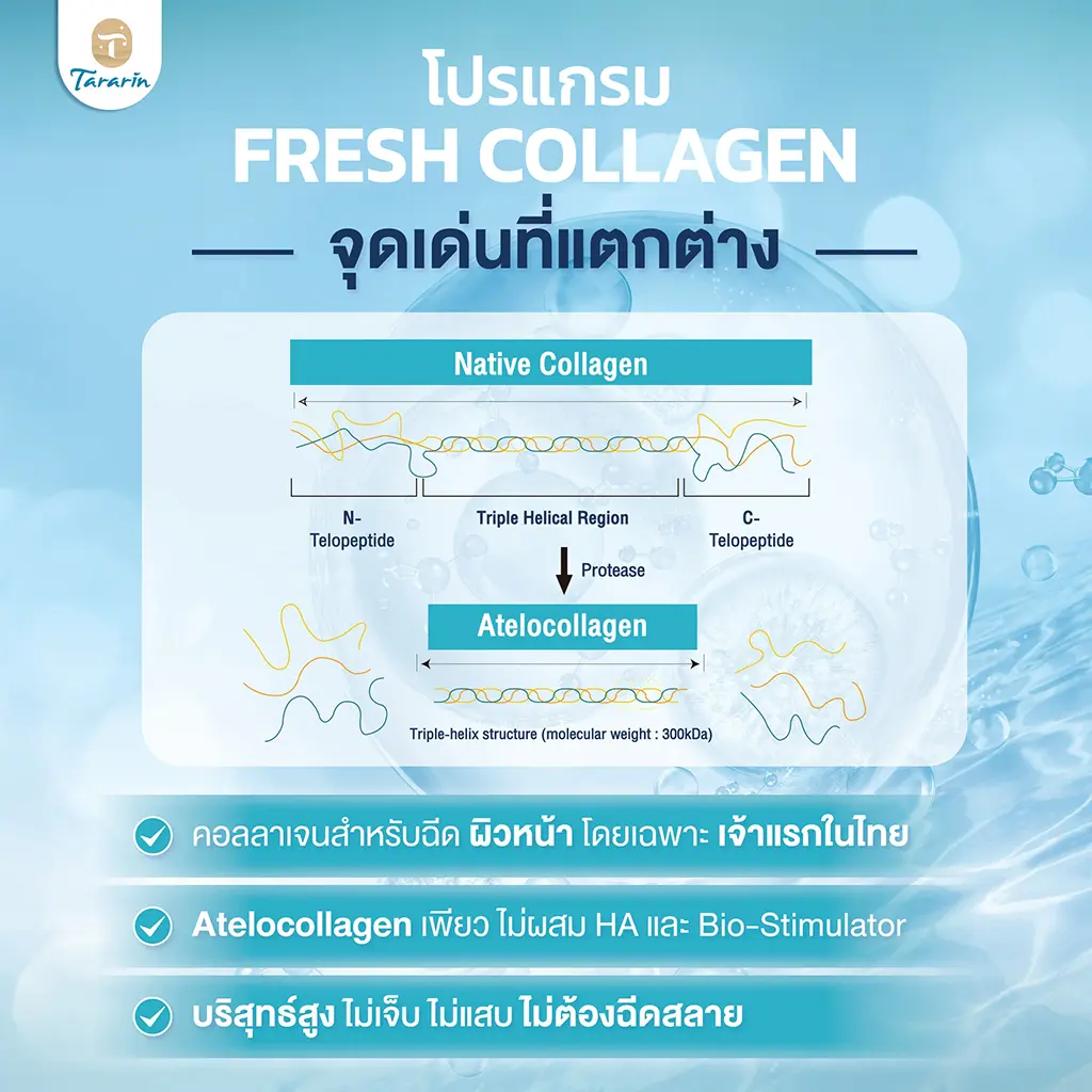 Therafill เหมาะกับผู้ที่ต้องการฟื้นฟูผิวจากภายใน