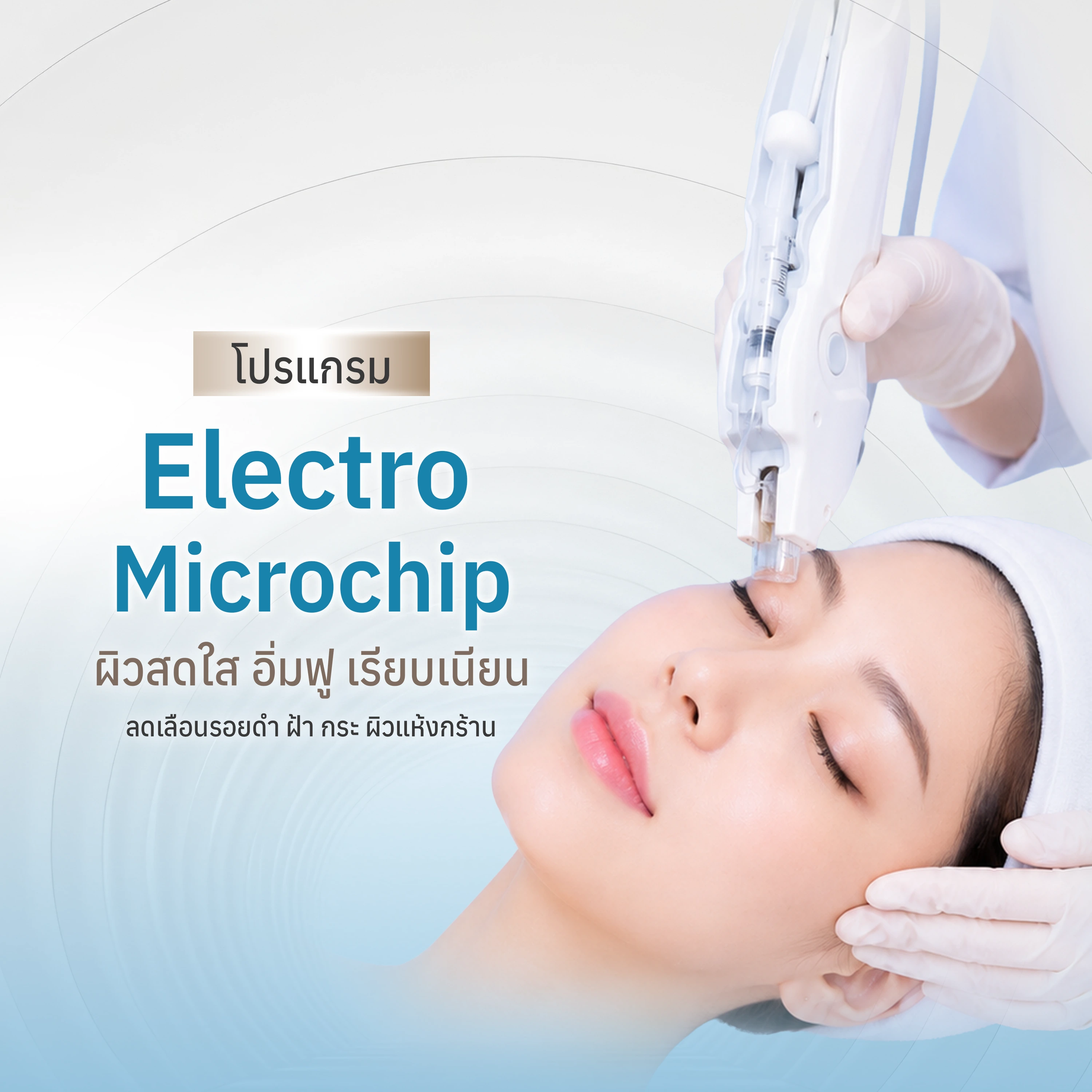โปรแกรม Electro Microchip