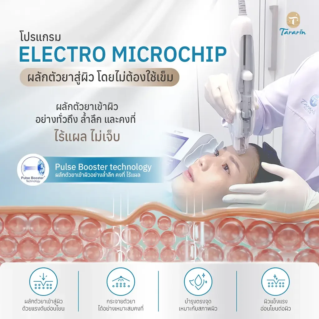 โปรแกรม Electromicrochip