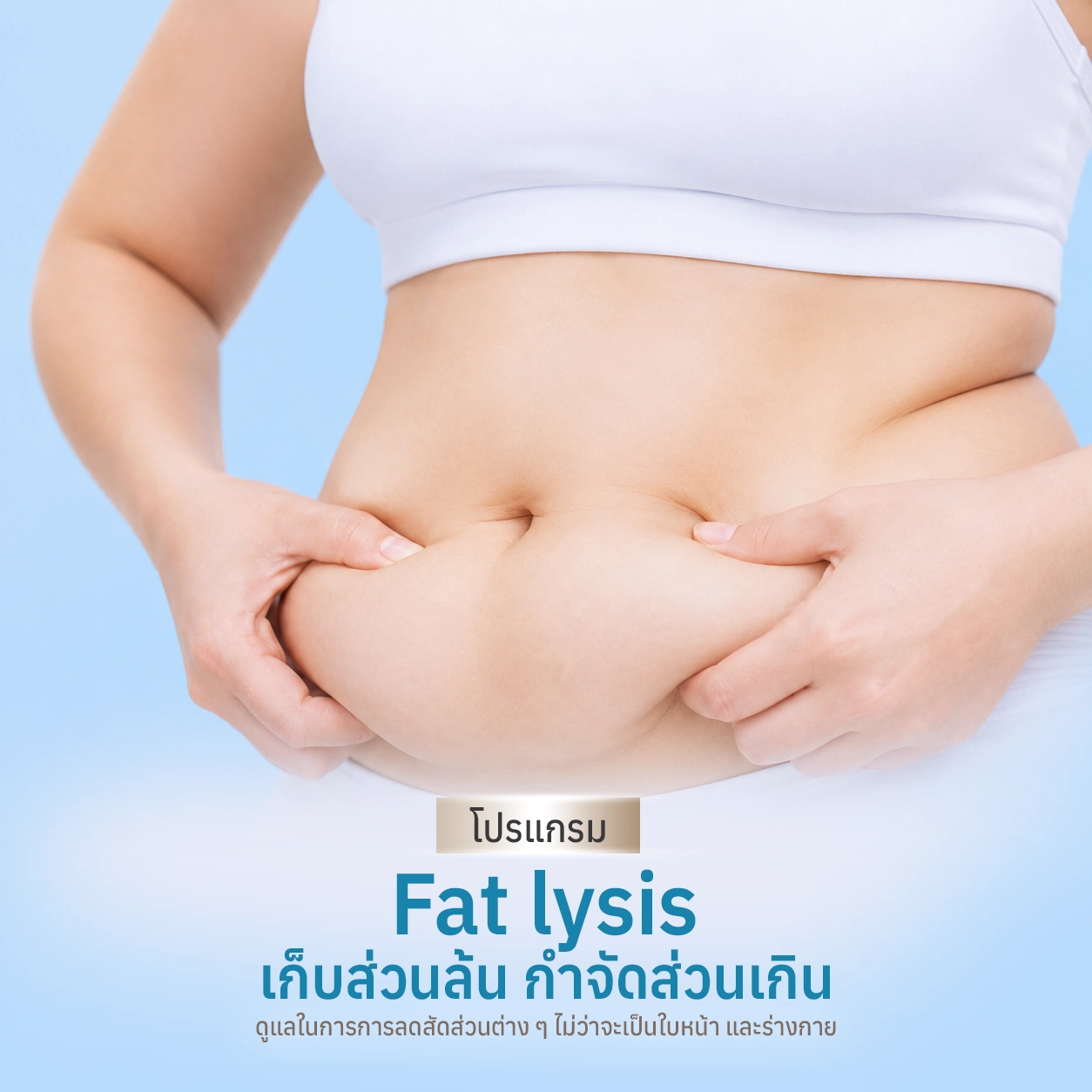 โปรแกรม Fat lysis